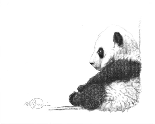 Affiche Le panda